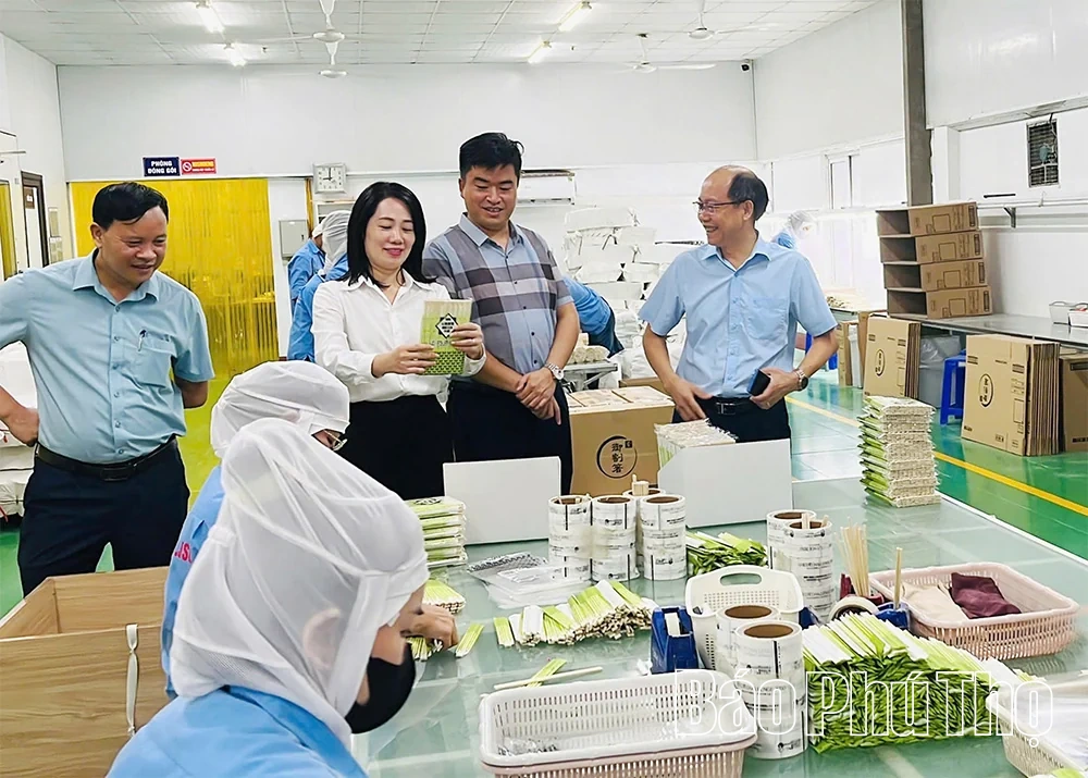 Hy Cương đưa việc học và làm theo Bác vào cuộc sống
