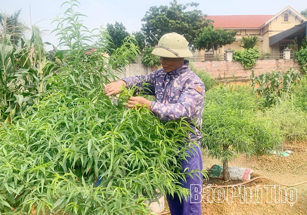 Hy Cương đưa việc học và làm theo Bác vào cuộc sống
