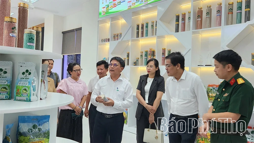 Tập huấn Luật Báo chí và các văn bản hướng dẫn thi hành
