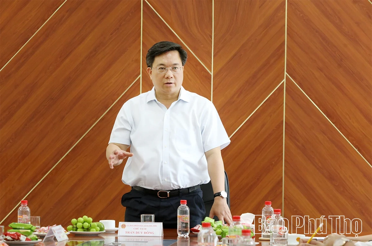 Chủ tịch UBND tỉnh Trần Duy Đông: Đẩy mạnh sản xuất nông nghiệp quy mô lớn, hướng tới xuất khẩu bền vững