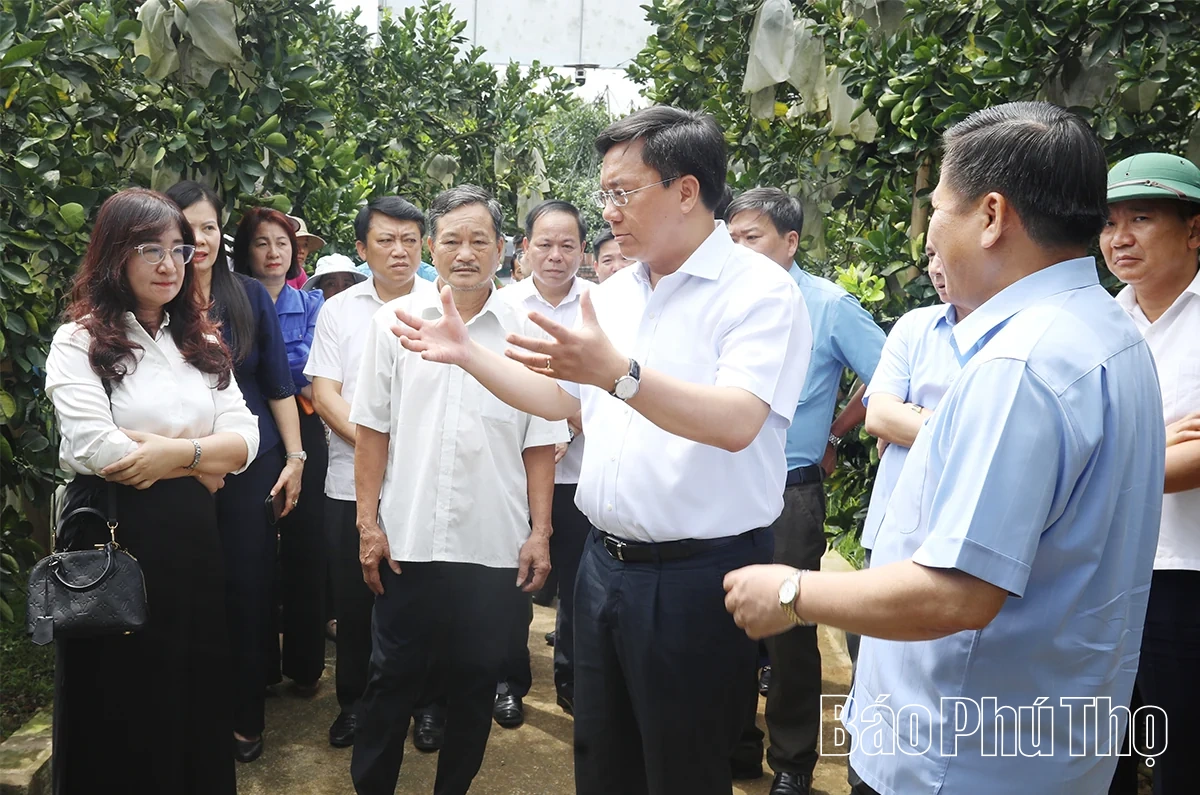Chủ tịch UBND tỉnh Trần Duy Đông: Đẩy mạnh sản xuất nông nghiệp quy mô lớn, hướng tới xuất khẩu bền vững