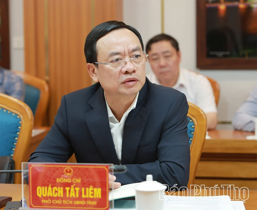 Phó Chủ tịch UBND tỉnh Quách Tất Liêm làm việc với&nbsp;Ngân hàng Tái thiết Đức