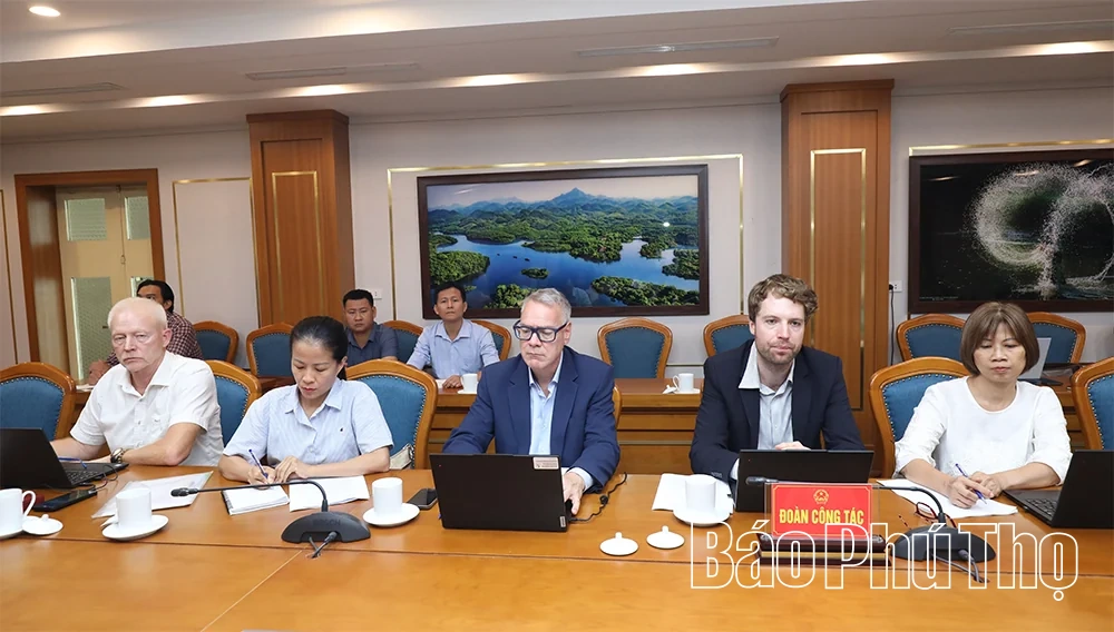 Phó Chủ tịch UBND tỉnh Quách Tất Liêm làm việc với&nbsp;Ngân hàng Tái thiết Đức