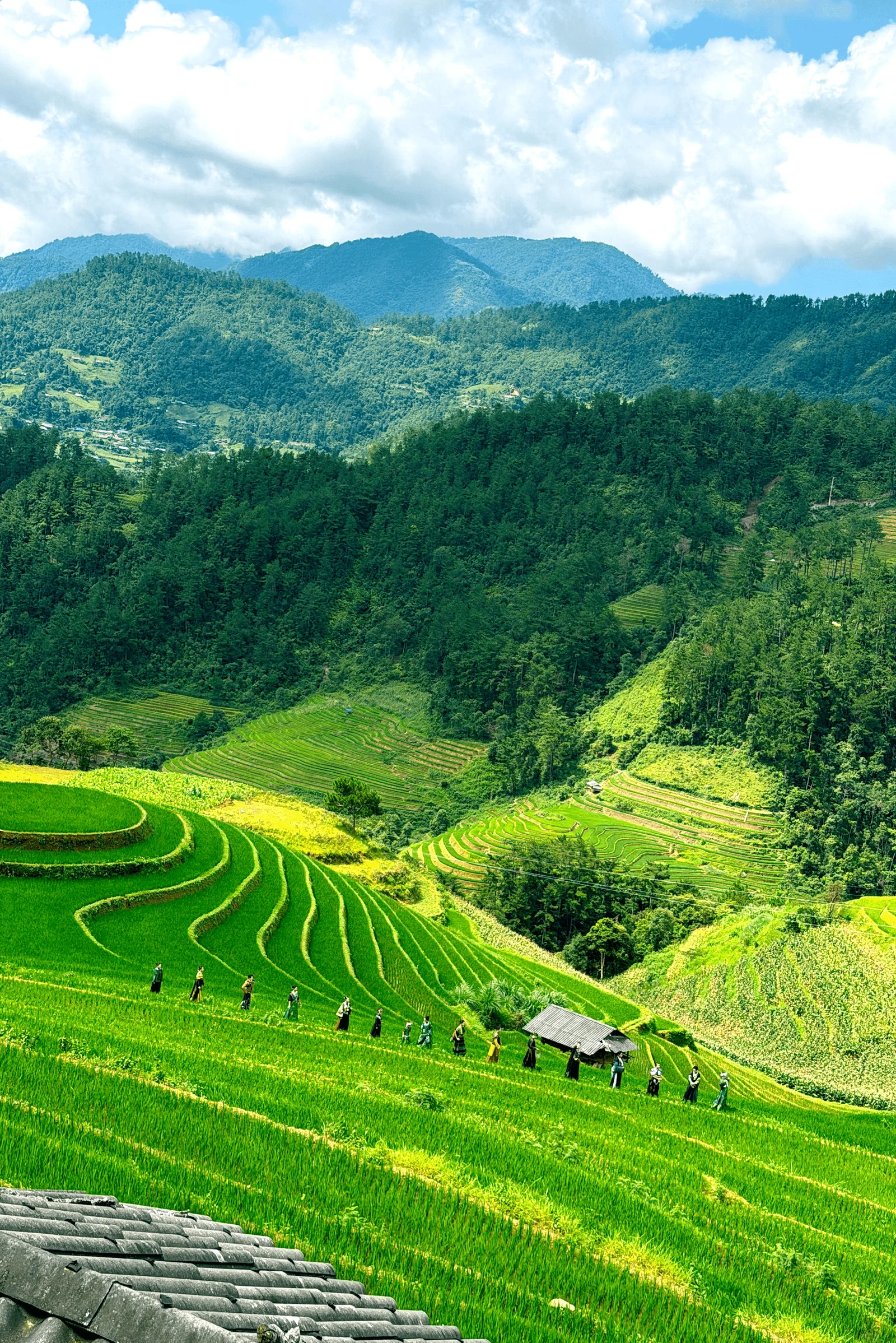 Di sản ruộng bậc thang Mù Cang Chải trở thành cảm hứng thời trang độc đáo