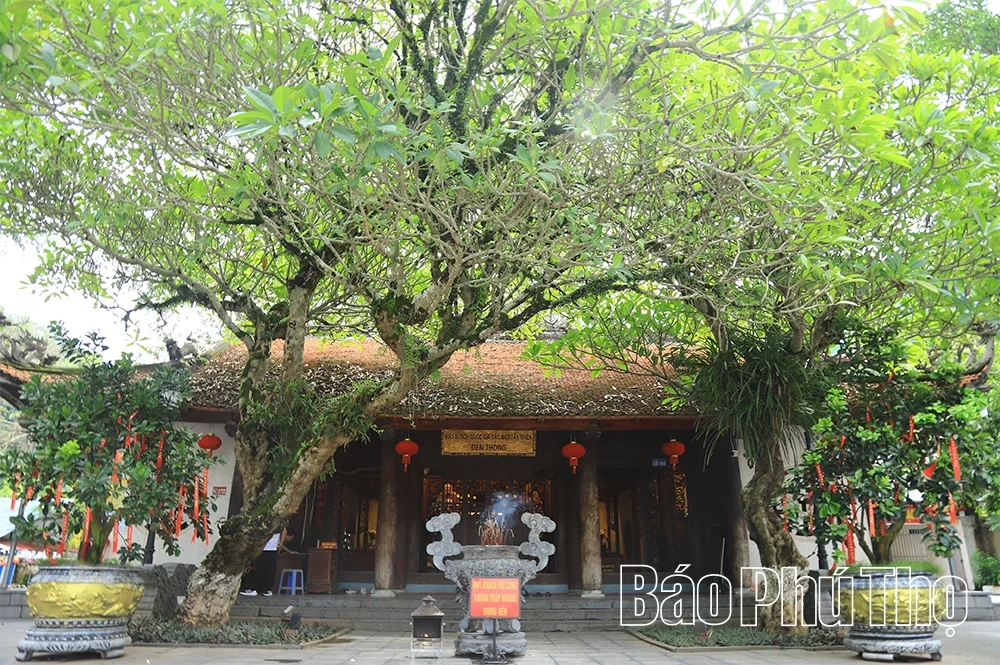 Níu bước Tây Thiên