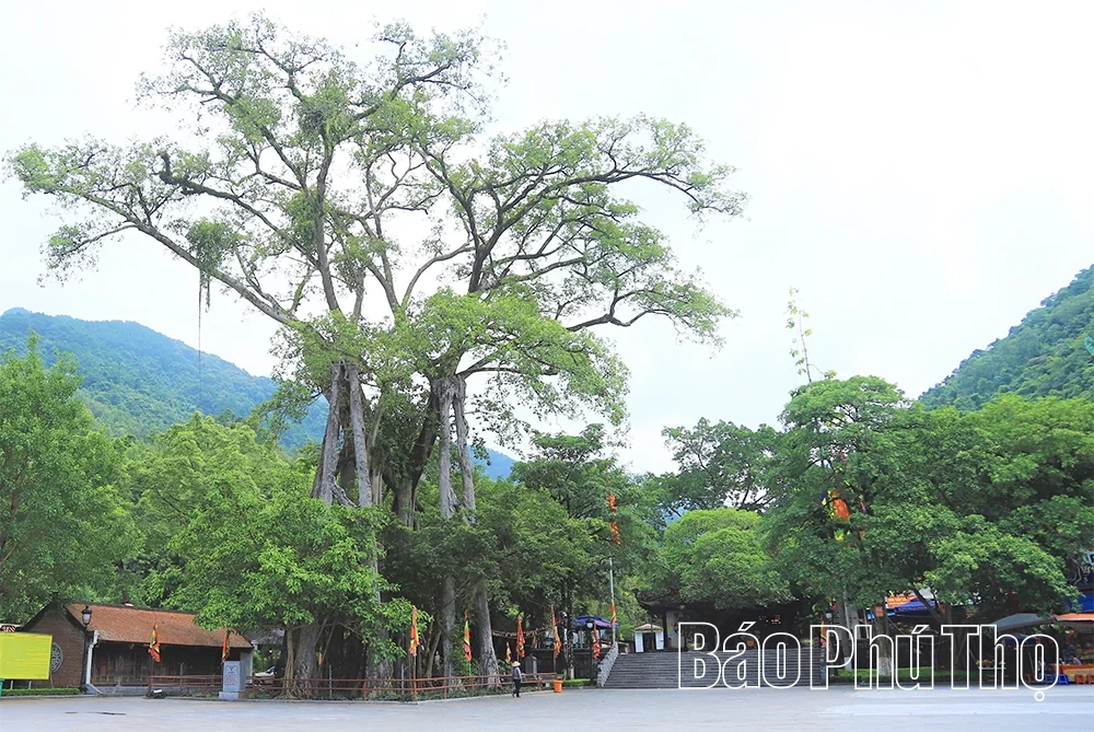 Níu bước Tây Thiên