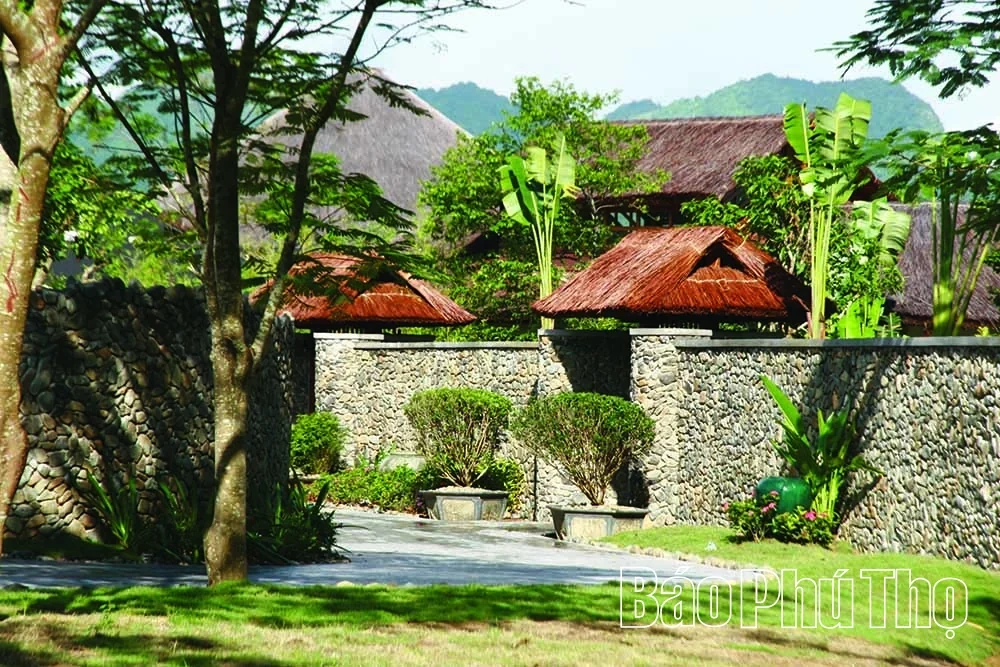 Serena Resort Kim Boi – A “Green Oasis” Amidst Mountains and Forests