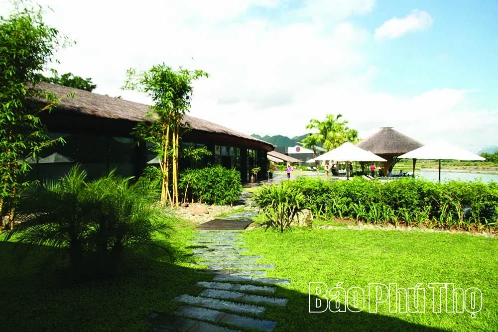 Serena Resort Kim Boi – A “Green Oasis” Amidst Mountains and Forests