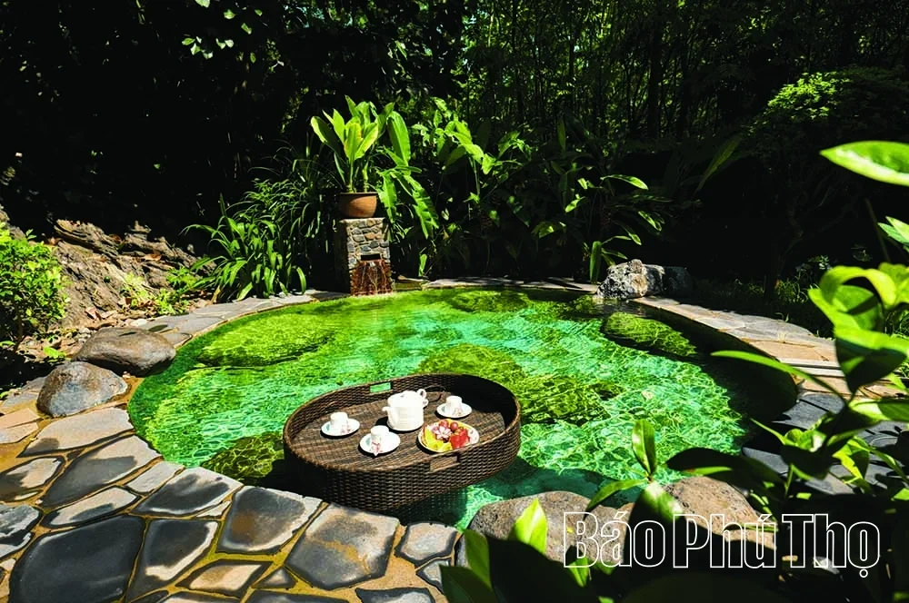 Serena Resort Kim Boi – A “Green Oasis” Amidst Mountains and Forests