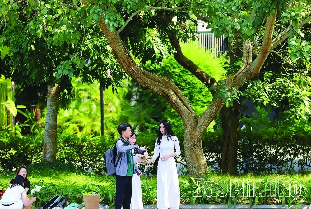 Serena Resort Kim Boi – A “Green Oasis” Amidst Mountains and Forests