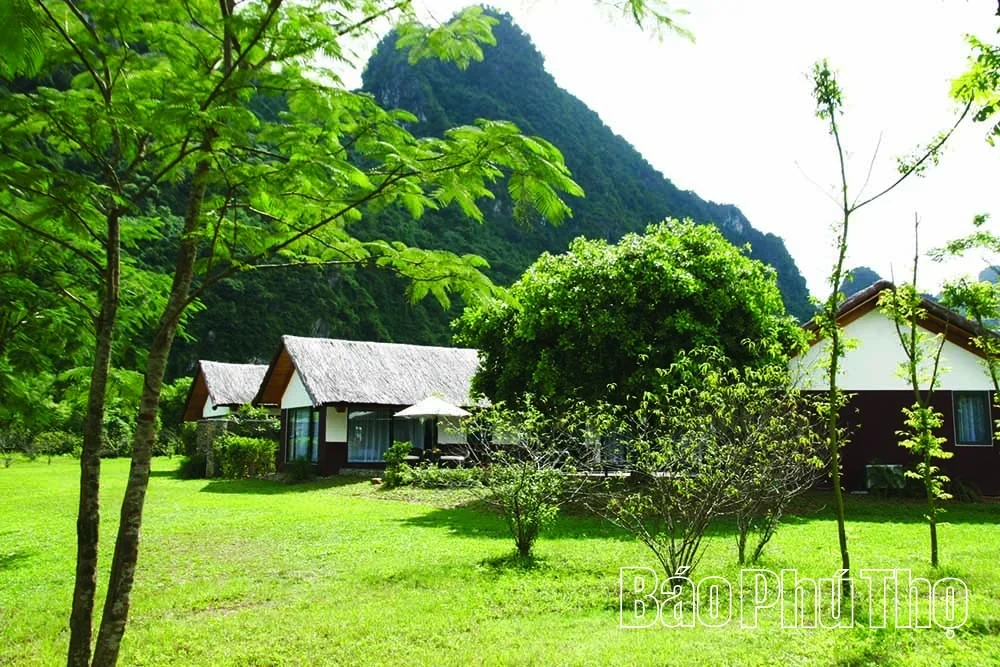 Serena Resort Kim Boi – A “Green Oasis” Amidst Mountains and Forests