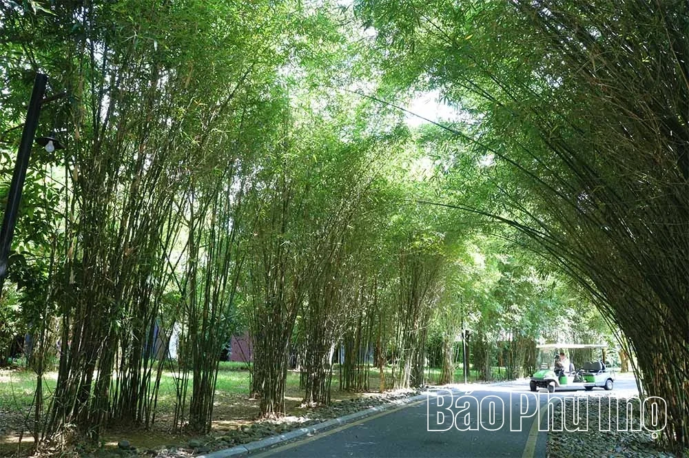 Serena Resort Kim Boi – A “Green Oasis” Amidst Mountains and Forests