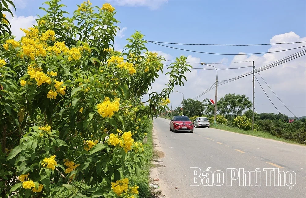 Brilliant Colors of Flags and Flowers to Celebrate National Day