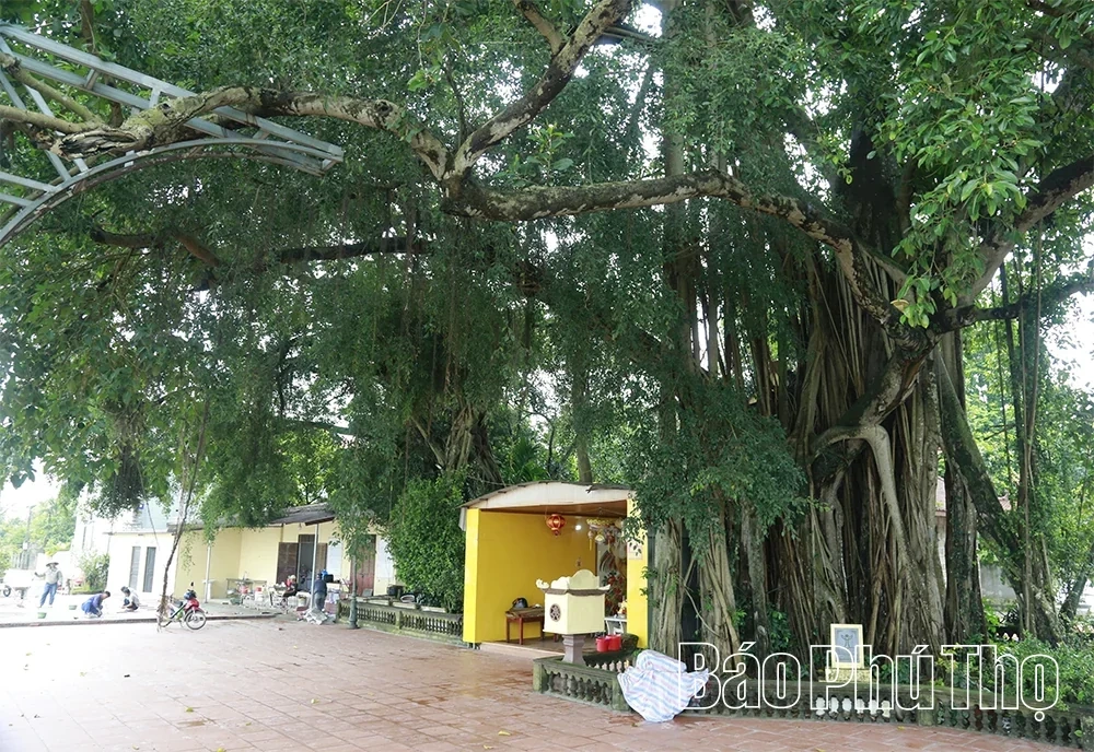 Legendary Female General of the Vietnamese Nation