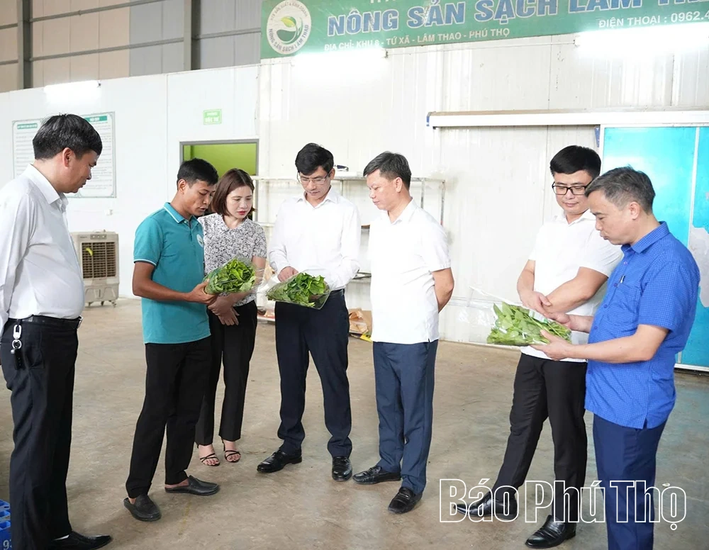 Phùng Nguyên phát triển sản xuất gắn với trách nhiệm bảo vệ môi trường