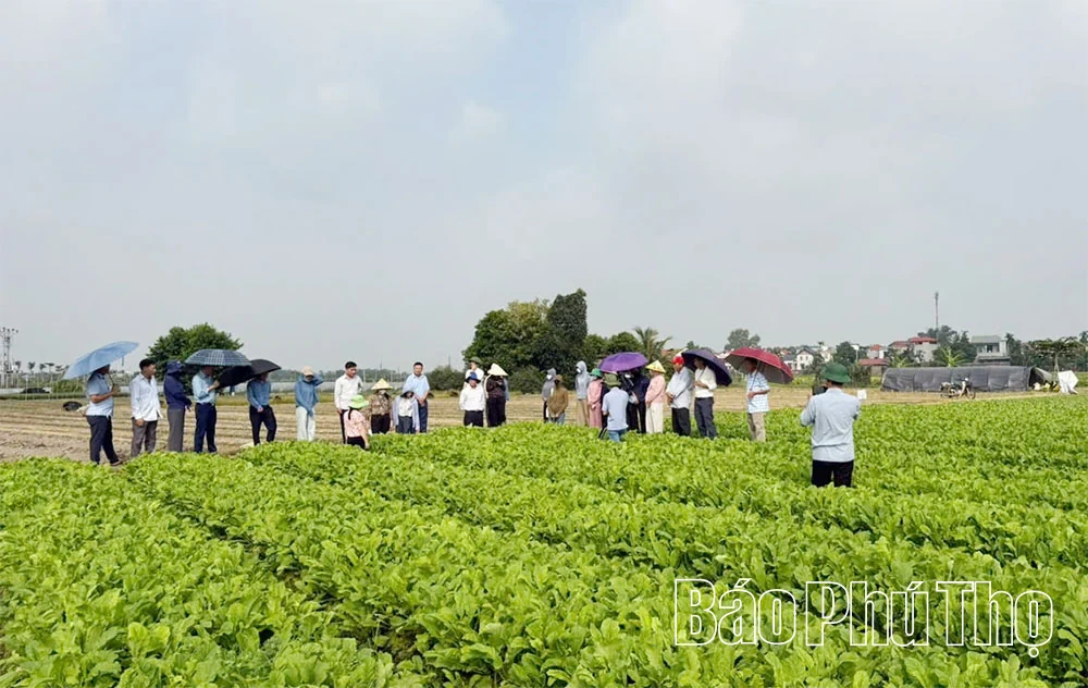 Đảm bảo an toàn dịch bệnh trên đồng ruộng