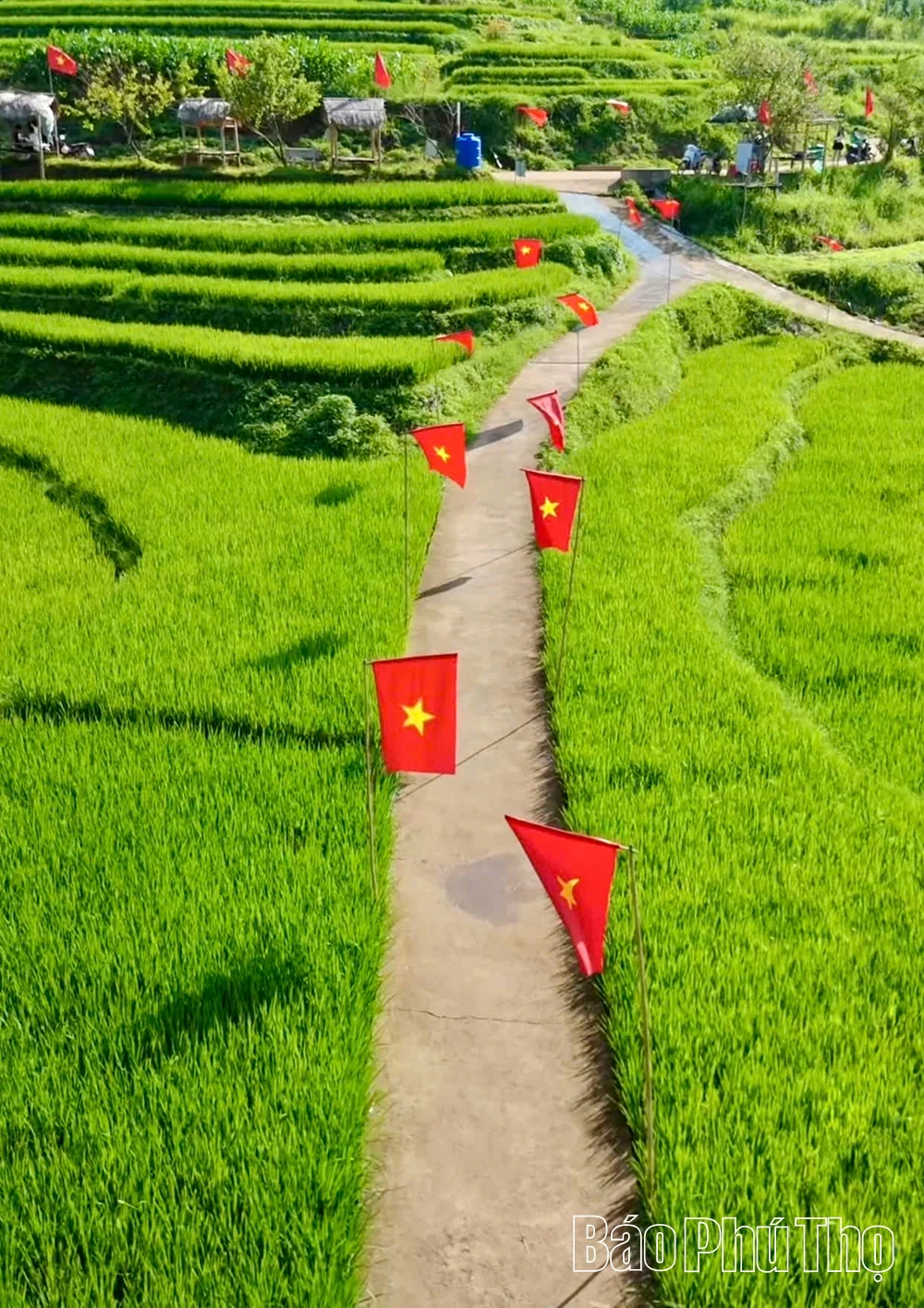Tự hào màu cờ Tổ quốc trong ngày Quốc khánh
