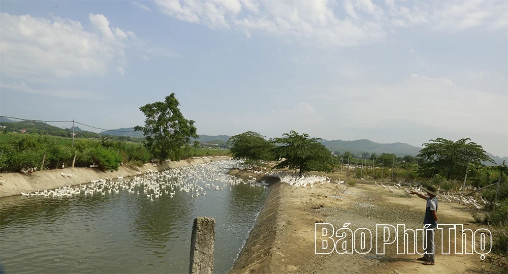 Điền chủ xóm khai hoang