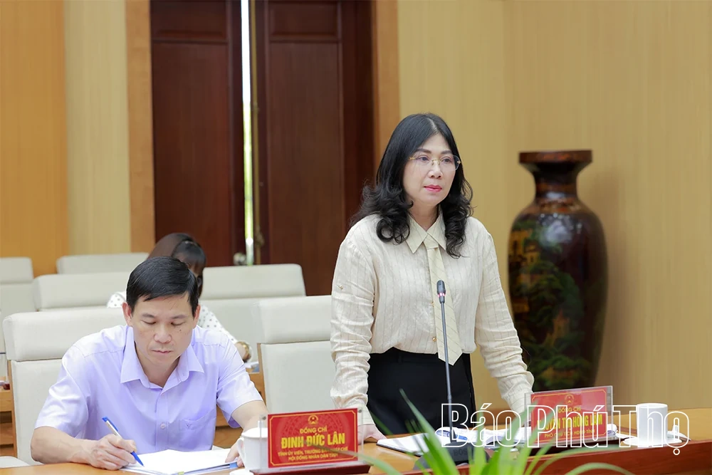 Triển khai kế hoạch giám sát chuyên đề của Thường trực HĐND tỉnh