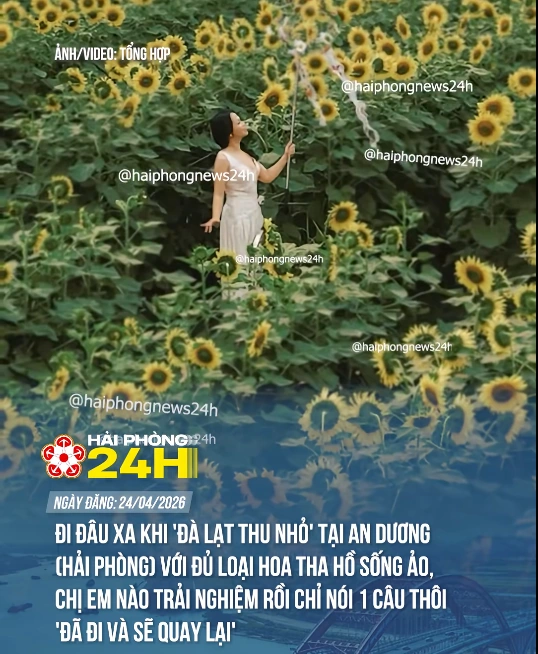 Hải Phòng 24h: Nơi lưu giữ những lát cắt chân thực và nhịp sống sôi động của Thành phố Cảng