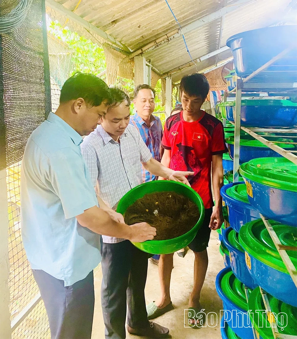 Văn Lang tăng tốc xây dựng nông thôn mới
