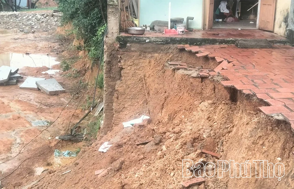Phú Thọ: Mưa lớn gây thiệt hại nhiều công trình, nhà cửa và sản xuất
