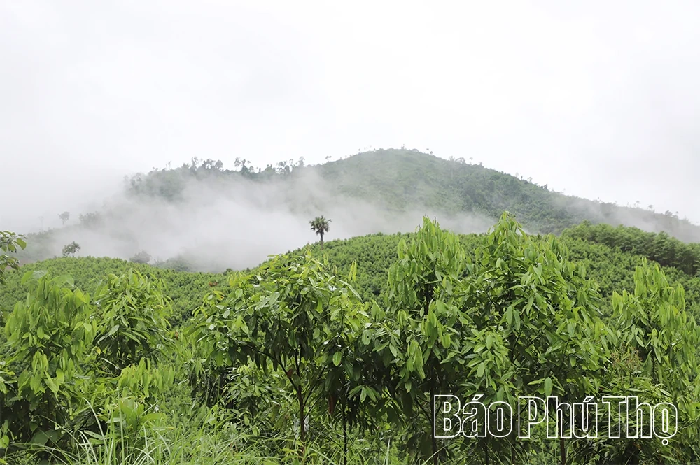 Trung Sơn - Điểm đến mới trong hành trình khám phá du lịch cộng đồng