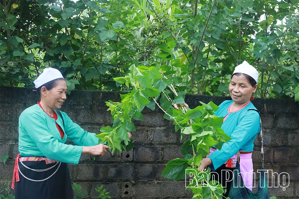 “Hồi sinh” làng nghề dệt thổ cẩm Đông Lai