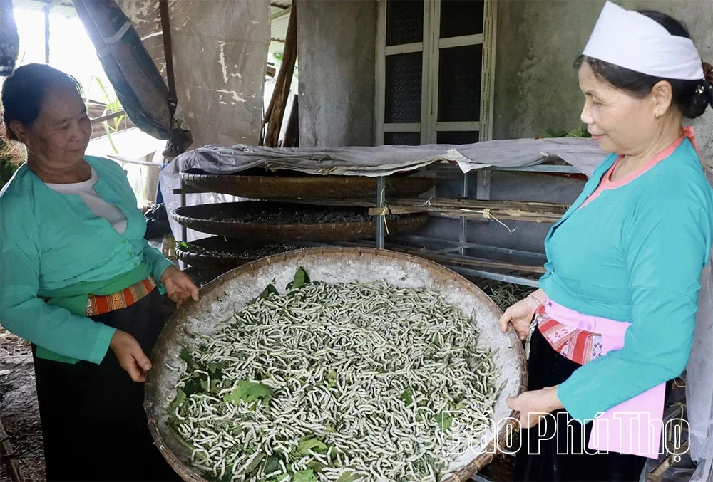 “Hồi sinh” làng nghề dệt thổ cẩm Đông Lai