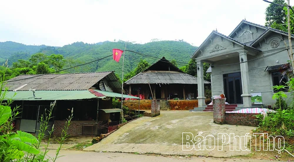 Những “đầu tàu” ở Mỹ Á
