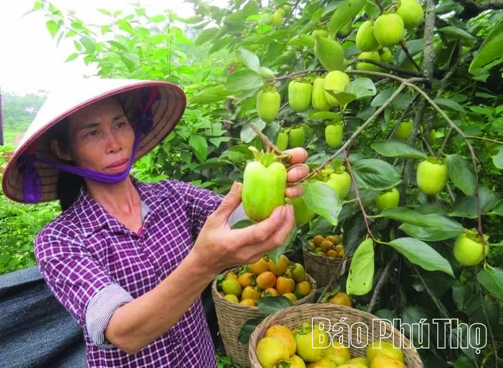 Gợi nhớ mùa Thu