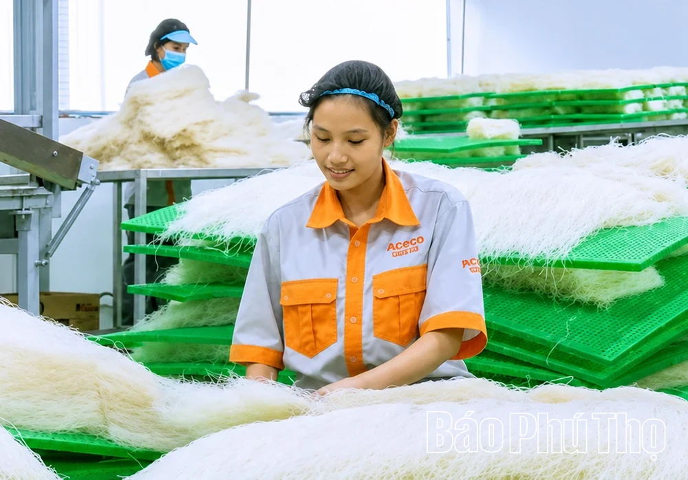 Xã Yên Lạc lấy khoa học, công nghệ và chuyển đổi số làm đòn bẩy phát triển kinh tế