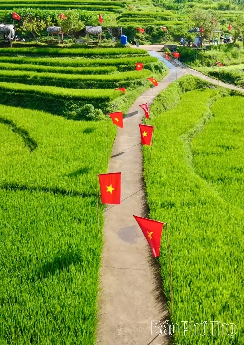 Proud Colors of the National Flag on National Day