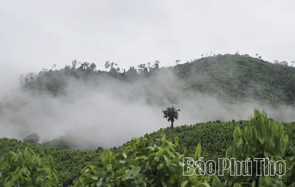 Trung Son – A New Destination on the Community Tourism Discovery Journey