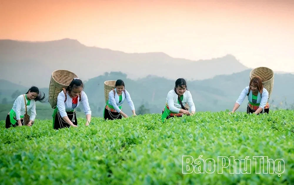 Phu Tho Welcomes Around 350,000 Tourists During the 5-Day September 2 National Day Holiday