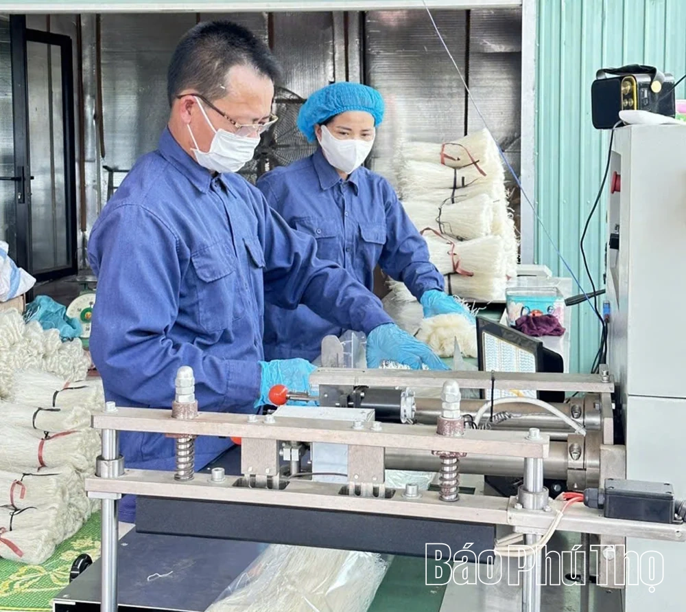 Từ hạt gạo quê đến sản phẩm OCOP