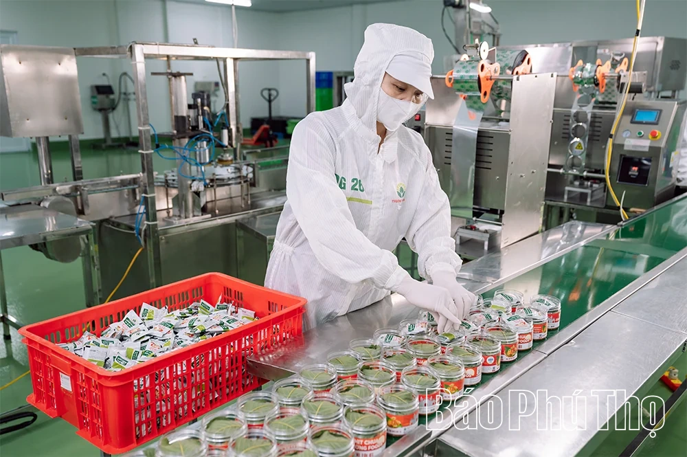 Nông nghiệp Phú Thọ: Đổi mới tư duy, nâng tầm giá trị - Kỳ 2: OCOP&nbsp;- hộ chiếu đưa nông sản Đất Tổ vươn xa