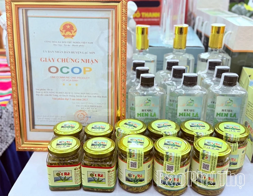 Vị cay từ núi Rẽ Vơng