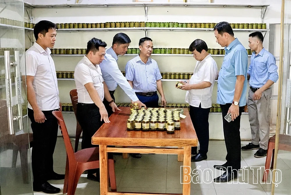 Vị cay từ núi Rẽ Vơng