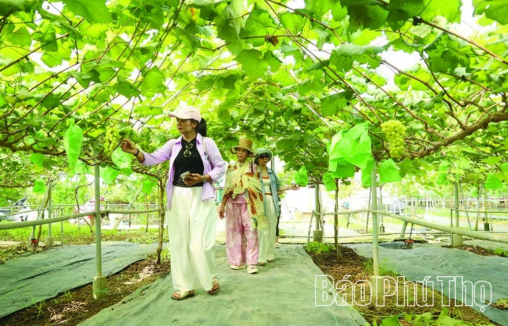 Tạo bứt phá tiềm năng du lịch xanh