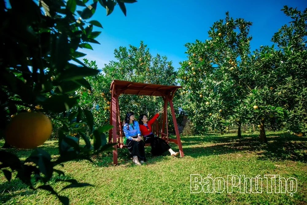 To the Land of Sweet Fruit: Cao Phong