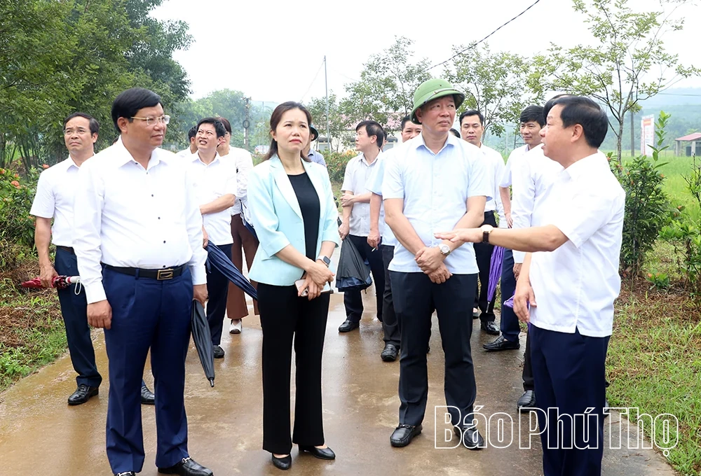 Khai thác tiềm năng, đẩy mạnh phát triển kinh tế gắn với bảo tồn bản sắc văn hóa Mường
