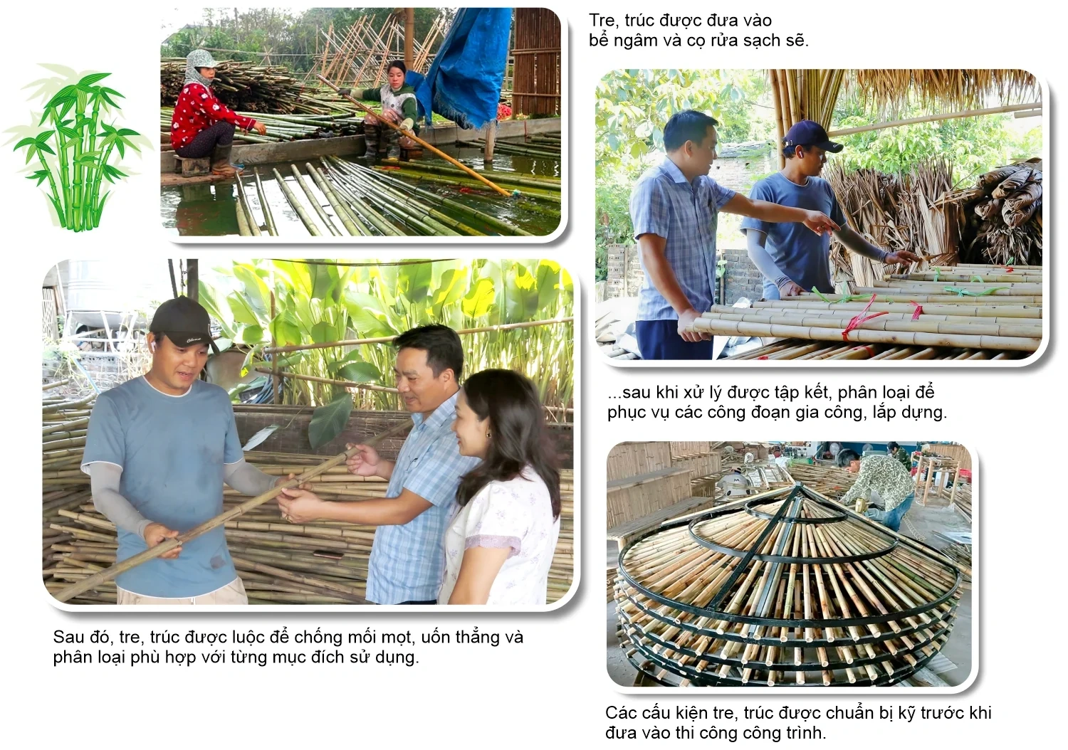Tre Việt dựng nên không gian Việt