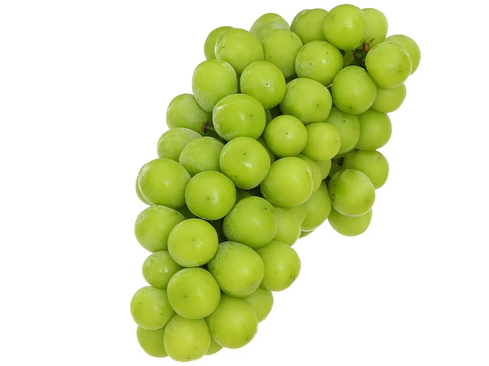 Giá cả thị trường ngày 10/9/2026