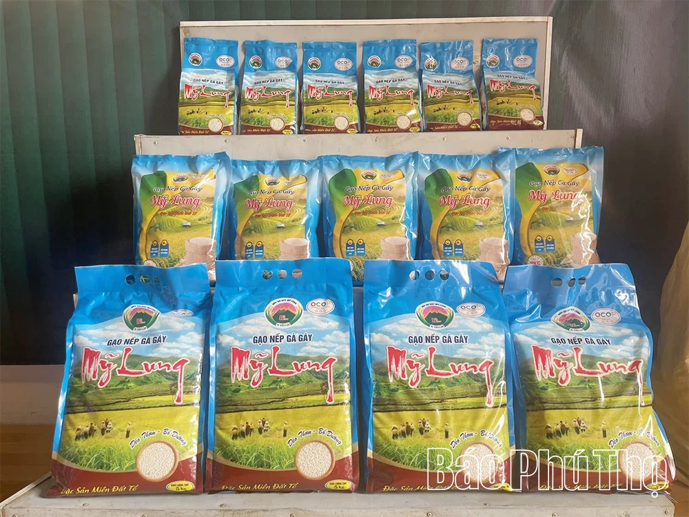 Sơn Lương: Đánh thức tiềm năng kinh tế nông nghiệp