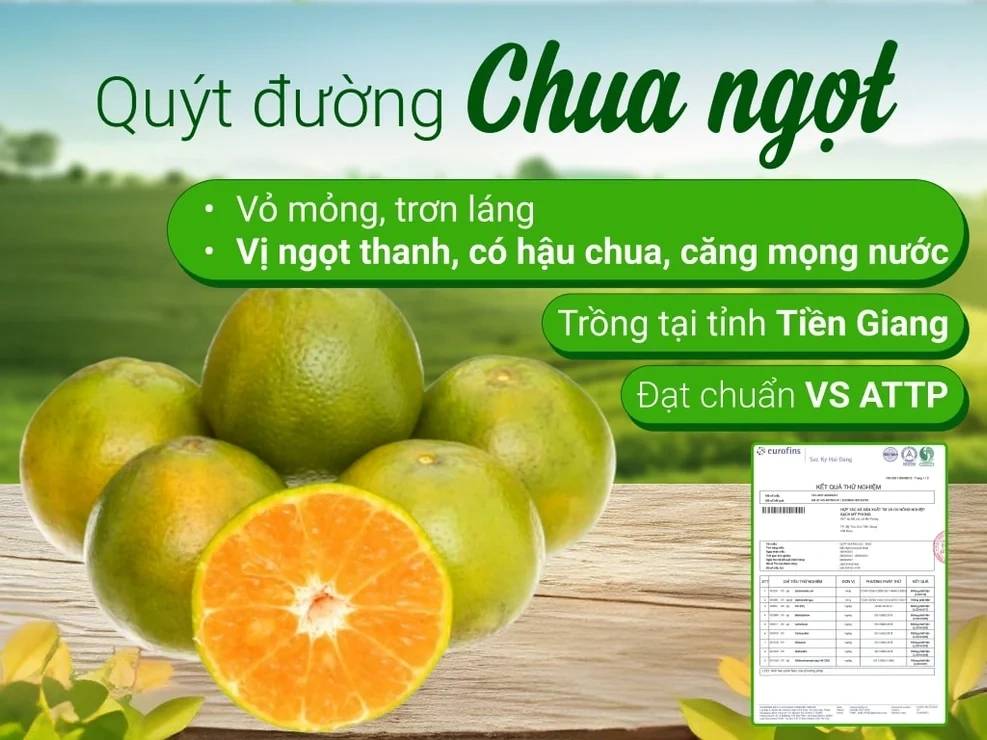 Giá cả thị trường&nbsp;ngày&nbsp;12/9/2026&nbsp;