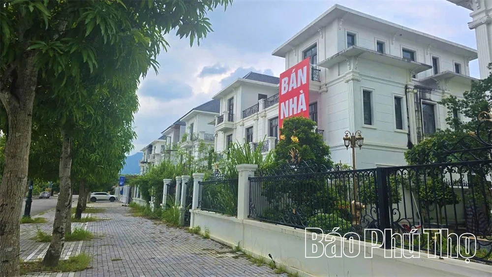 Bất động sản vùng Nam: Khoảng lặng và áp lực lãi suất ngân hàng