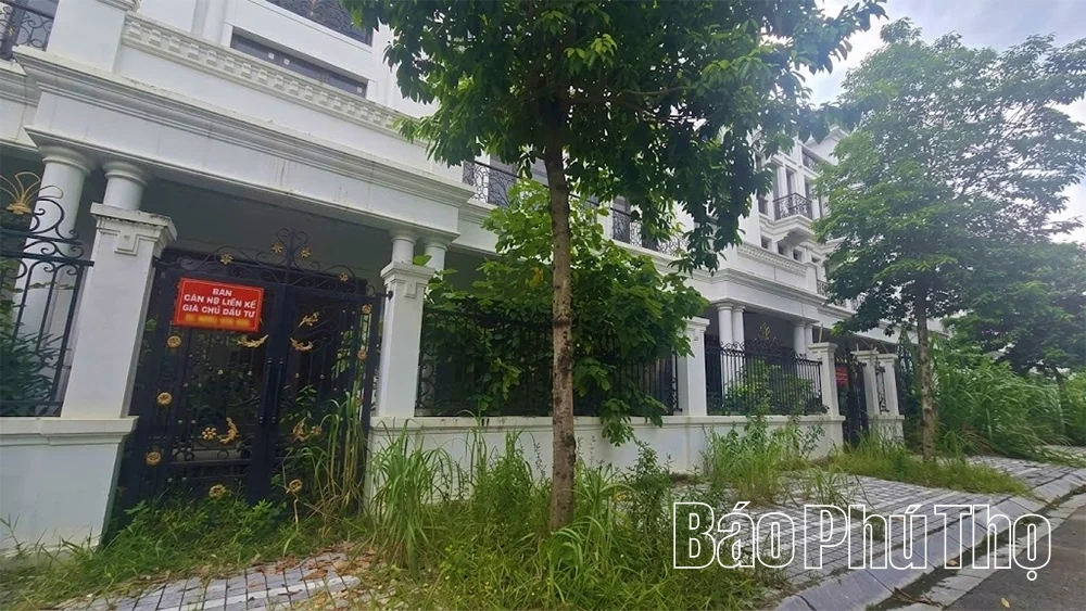Bất động sản vùng Nam: Khoảng lặng và áp lực lãi suất ngân hàng