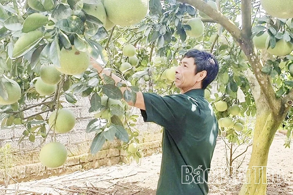 Sức bật từ kinh tế hộ ở Yên Trị