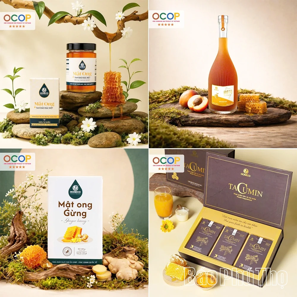 Phú Thọ đưa sản phẩm OCOP vào chuỗi giá trị du lịch